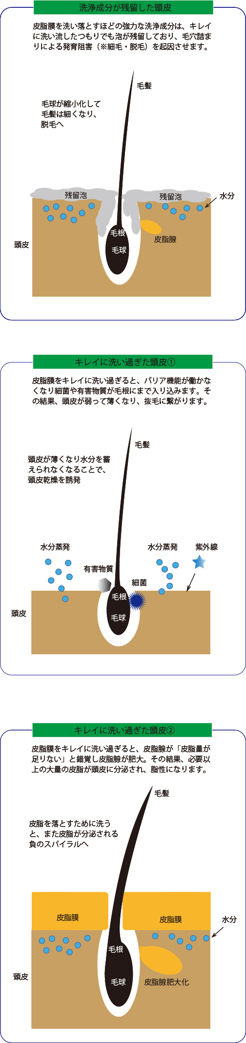 ダメージ頭皮